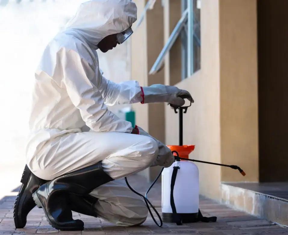 Pest control technician treating a London property