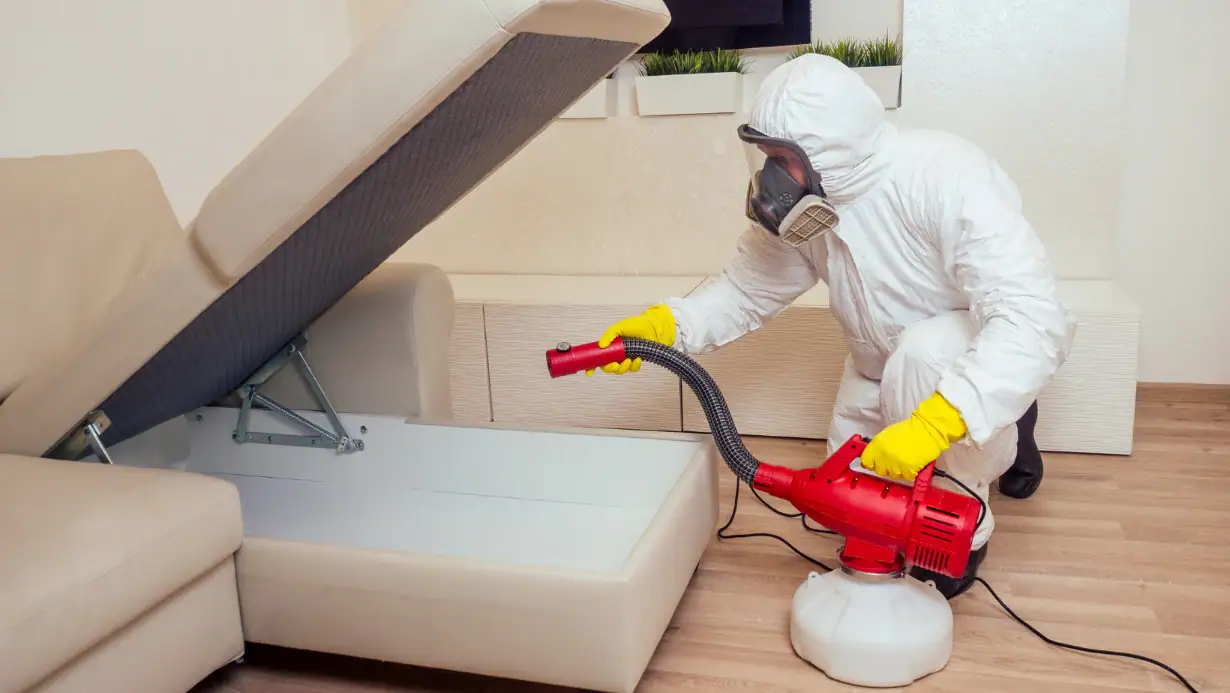 Guaranteed Services Pro pest control team in London
